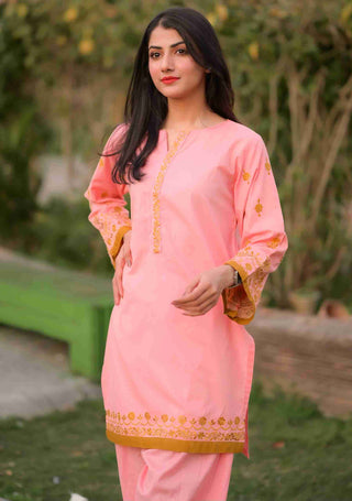 Blush Pink Embroidered 2pc