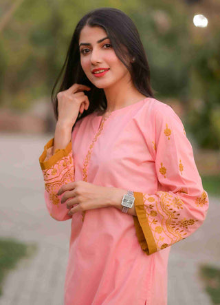 Blush Pink Embroidered 2pc