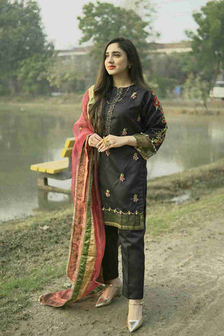 Black Raw Silk 3pc Stitched Party Wear